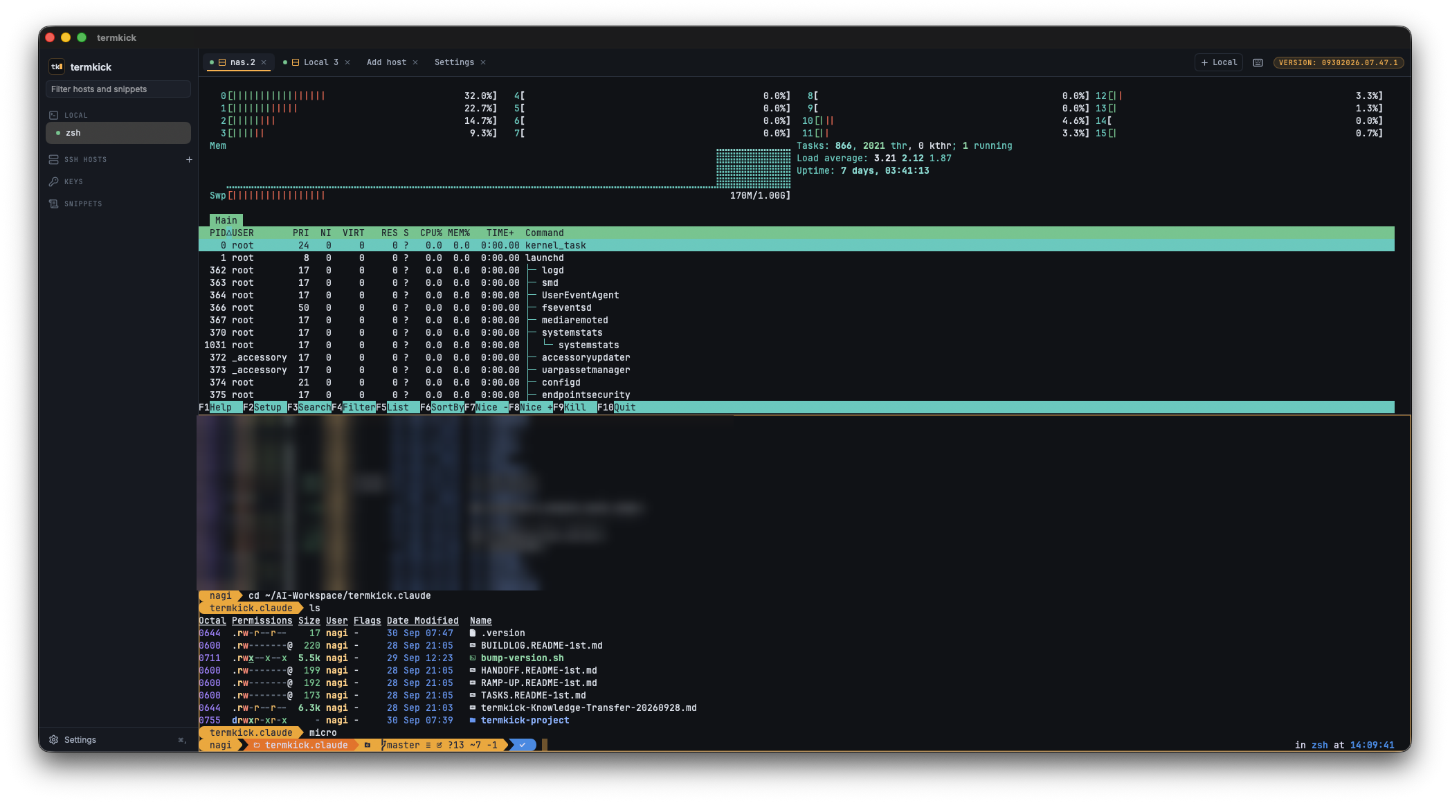 termkick with two panes stacked top and bottom: htop above, a zsh shell below